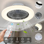 Ceiling Fan with Light