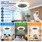 Ceiling Fan with Light